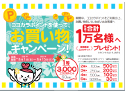 ★☆ポイントを使ってポイントを当てよう★☆