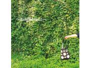 ～Ampersand /アンパサンド ～ 2ウェイバック♩