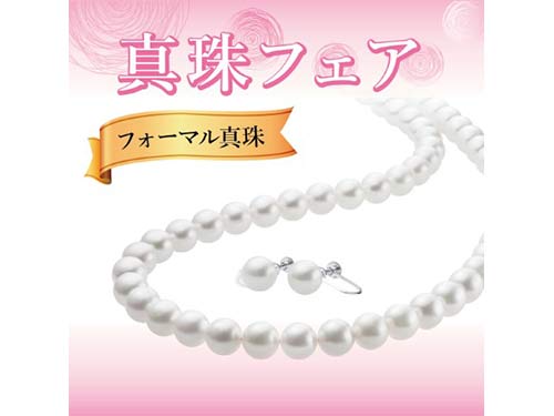 おめでとうの春 2019