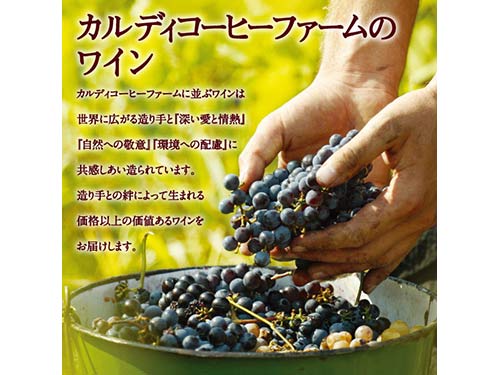 木の葉モール橋本のお中元