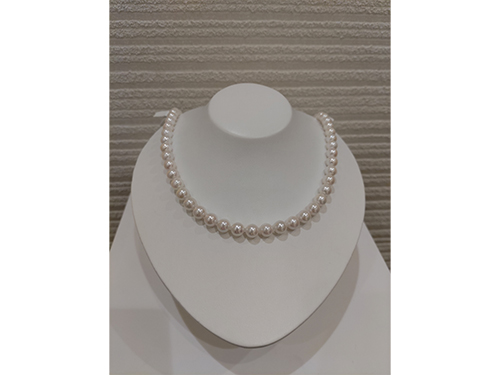 新生活アイテム特集