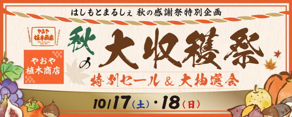 やおや植木商店 秋の大収穫祭